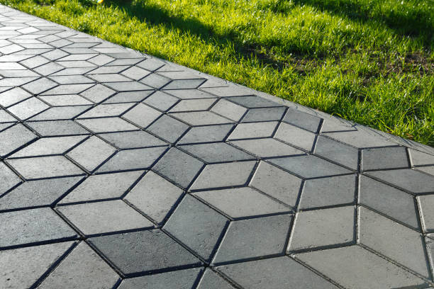 Best Professional Driveway Pavers  in Dahlgren, VA